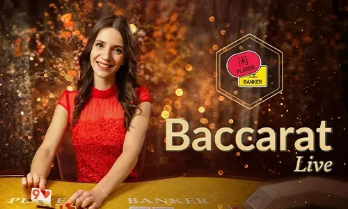 Daily Cashback and Loyalty Rewards